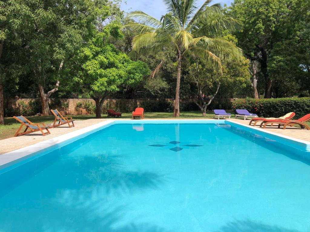 a large blue swimming pool with chairs and trees at Petwac Oasis in Malindi
