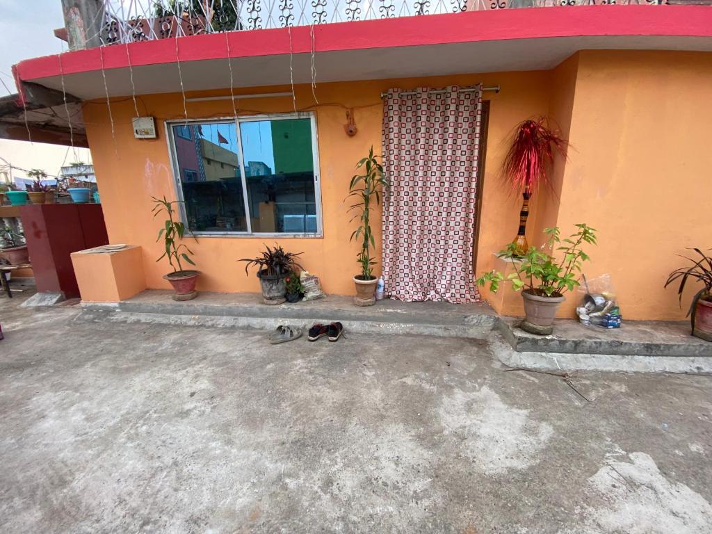 a dog laying in front of a house with plants at Morla’s villa in Jagdalpur