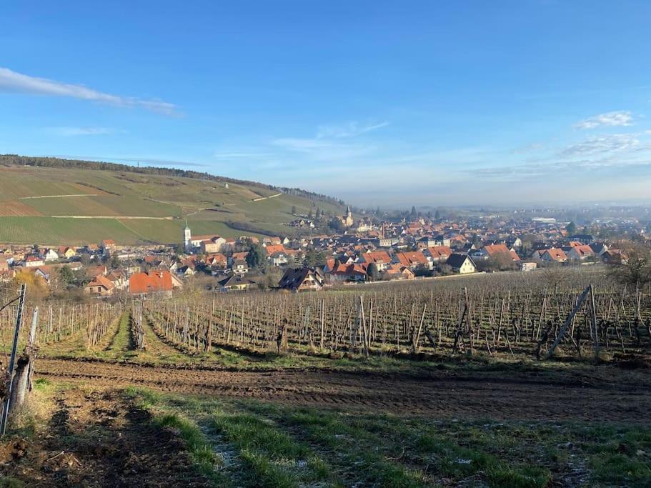 Příroda nedaleko apartmánu