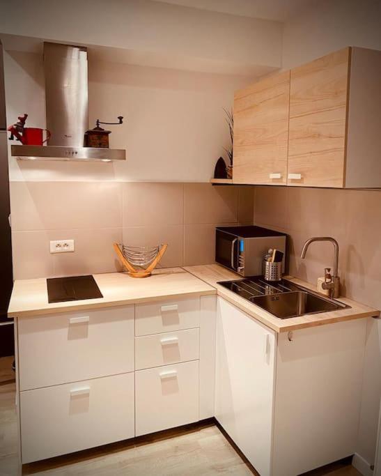 Kuchyň nebo kuchyňský kout v ubytování Charmant appartement 4/6 pers.