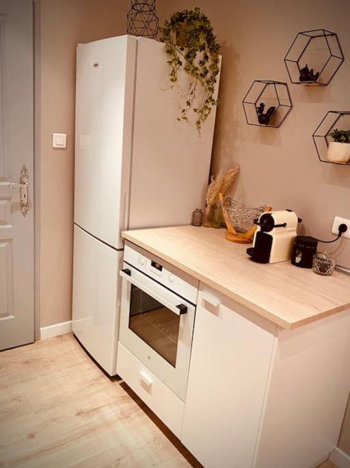 Kuchyň nebo kuchyňský kout v ubytování Charmant appartement 4/6 pers.