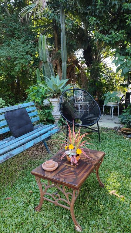 a table with a plant on it next to a bench at CasaMágica SP in Sao Paulo