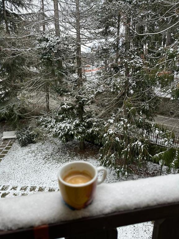 a cup of coffee sitting on a window sill at NadSan Mountain House in Camigliatello Silano