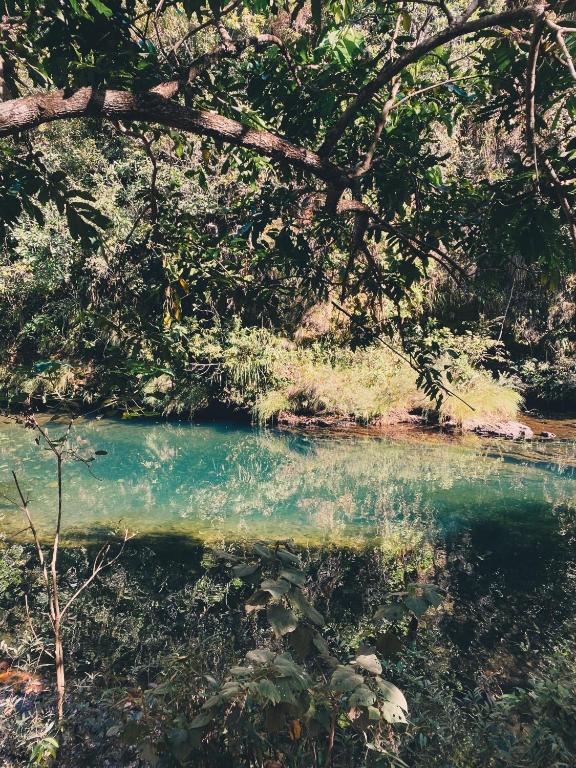 a body of water with a tree above it at Vila Floresta - Chalé Pato Mergulhão in Alto Paraíso de Goiás