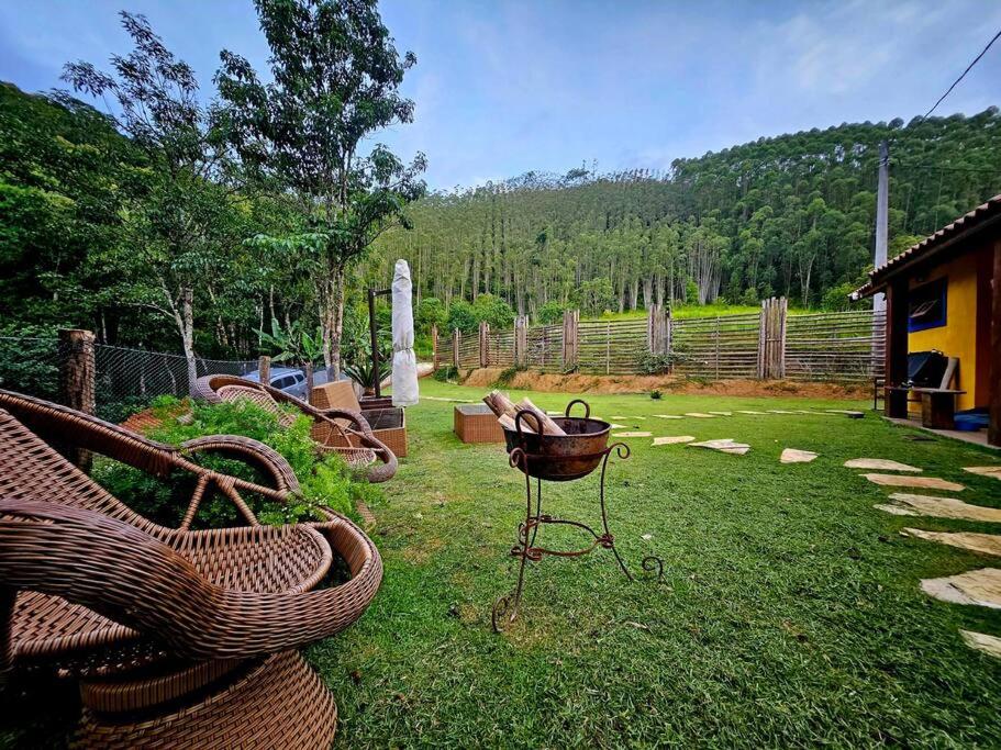 une corbeille assise dans l'herbe dans une cour dans l'établissement Sítio O Gajo, à São Luiz do Paraitinga