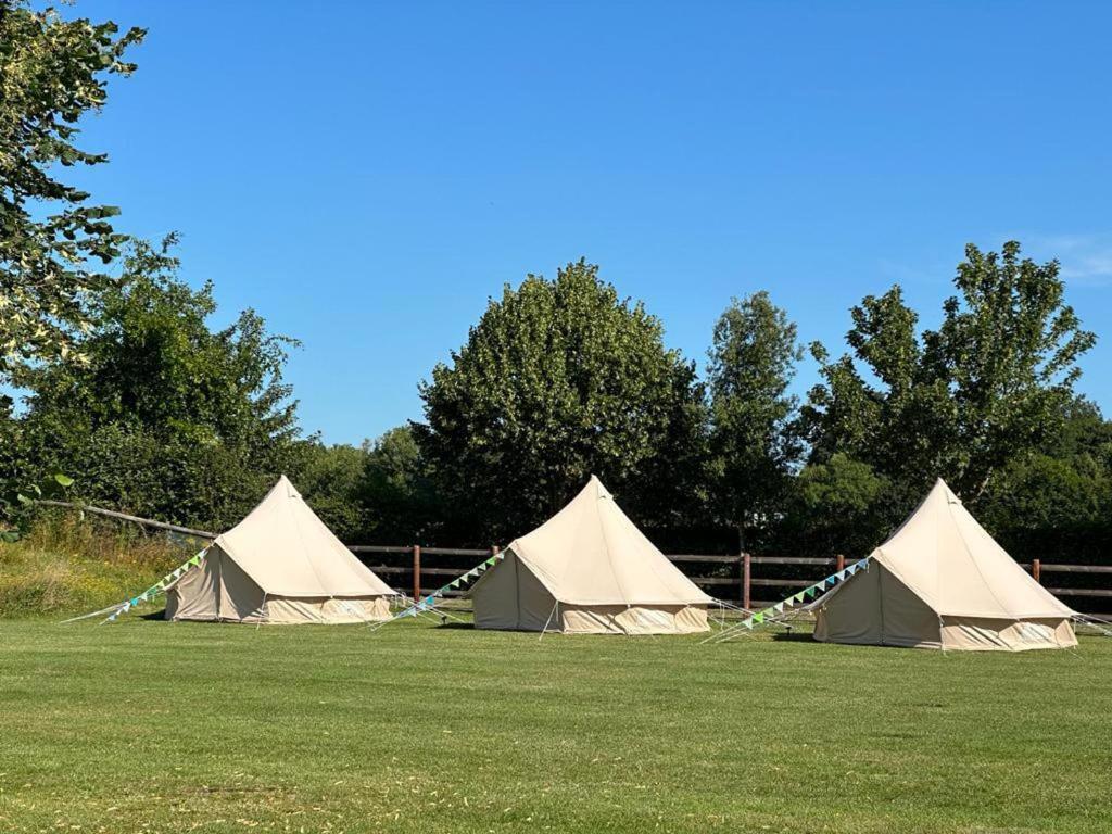 a group of tents sitting in a field at Lovely 1 bed Yurt in Salisbury in Salisbury