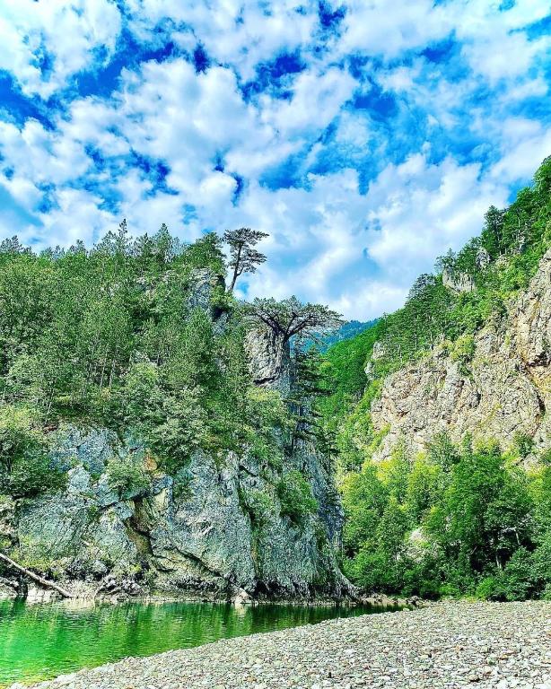 Paesaggio naturale nelle vicinanze della casa vacanze