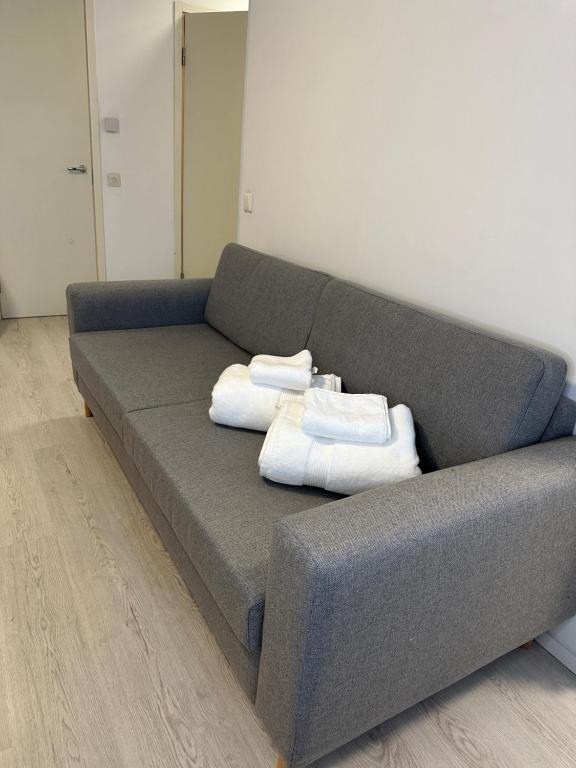a gray couch with two pillows on top of it at Chic and Relaxing Studio in Hyvinkää
