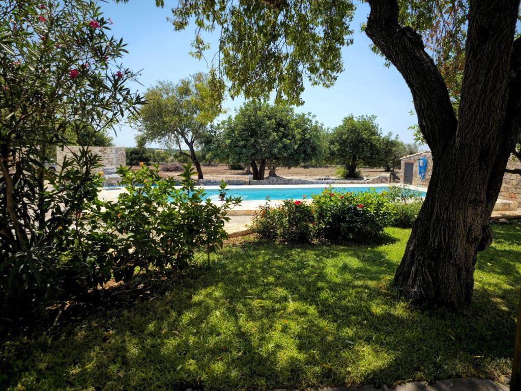 ein Pool im Garten mit einem Baum in der Unterkunft Villa Maros in Scicli