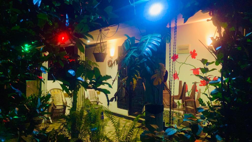Zahrada ubytování Aloe Home Stay