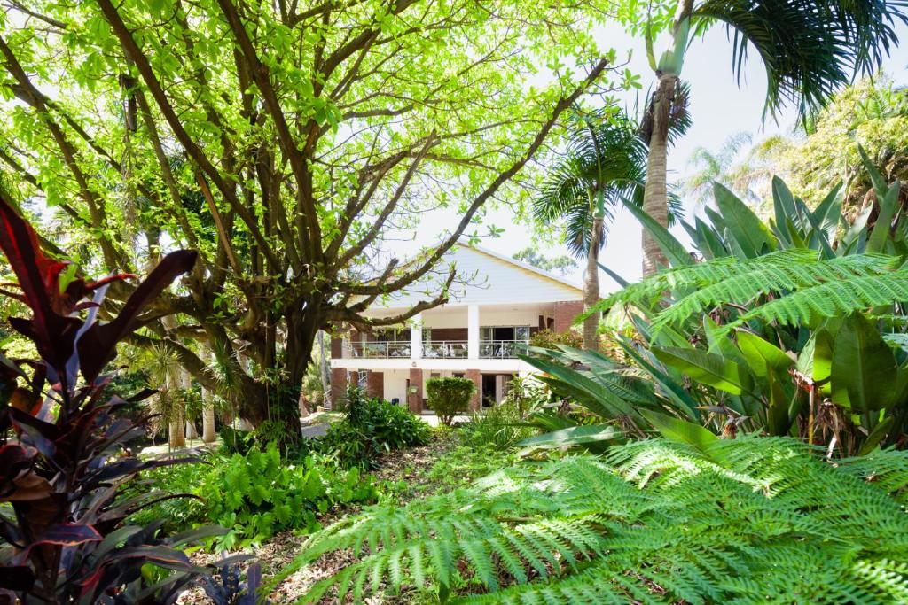 a house in the midst of trees and plants at Summer Place Guest House in Port Edward