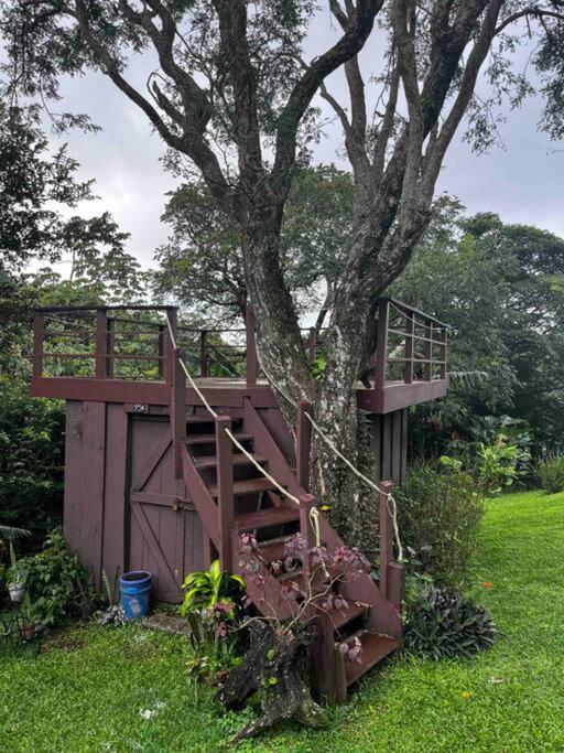 Zahrada ubytování Casa Colibrí
