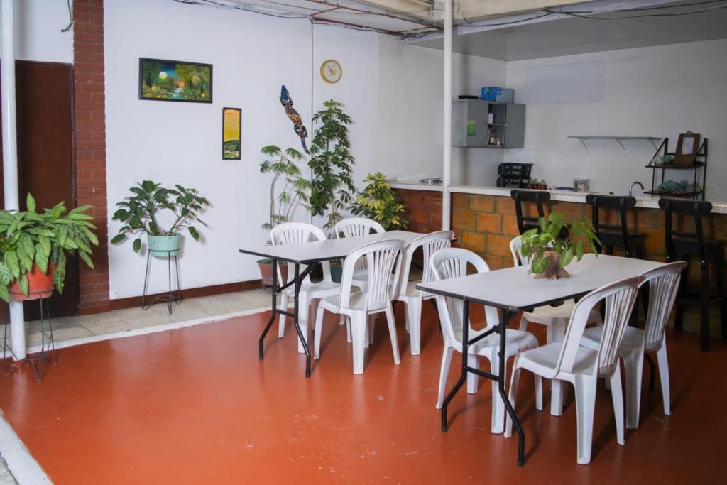 パルミラにあるhospedaje oasis centralのテーブルと白い椅子と植物のある部屋