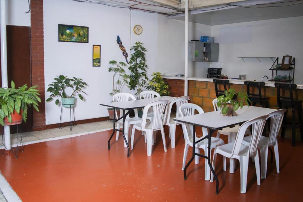 a room with tables and white chairs and plants at hospedaje oasis central in Palmira