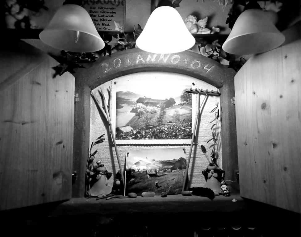 Fotografie z fotogalerie ubytování Pension Sonnhof v destinaci Radstadt