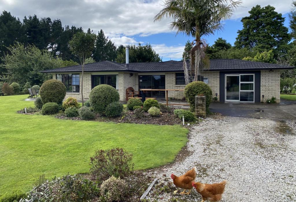 une maison avec deux poulets dans la cour avant dans l'établissement Waitomo Golf Ridge, à Grottes de Waitomo