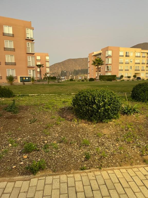 a park with buildings and a bush in the grass at Departamento La Serena por Días in La Serena