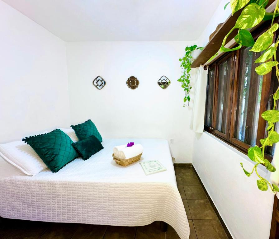 CABO BOHEMIA Tropical Garden Studios - Estudio Estándar