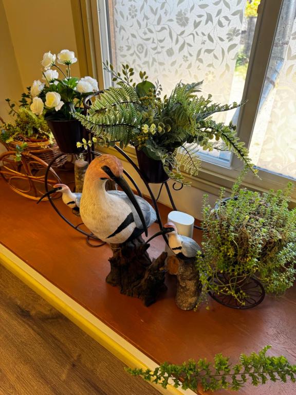 Fotografie z fotogalerie ubytování Hotel Casona Los Colonos v destinaci Valdivia