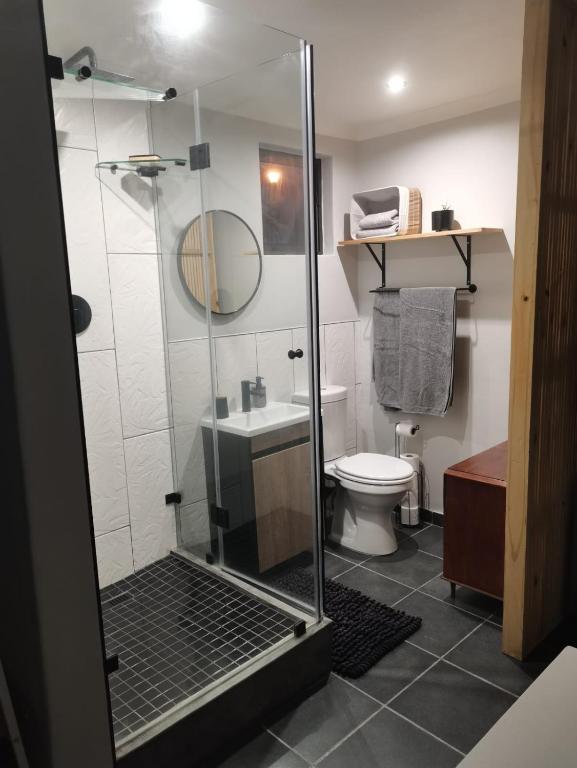 a bathroom with a glass shower and a toilet at Ruach 5 in Bellville