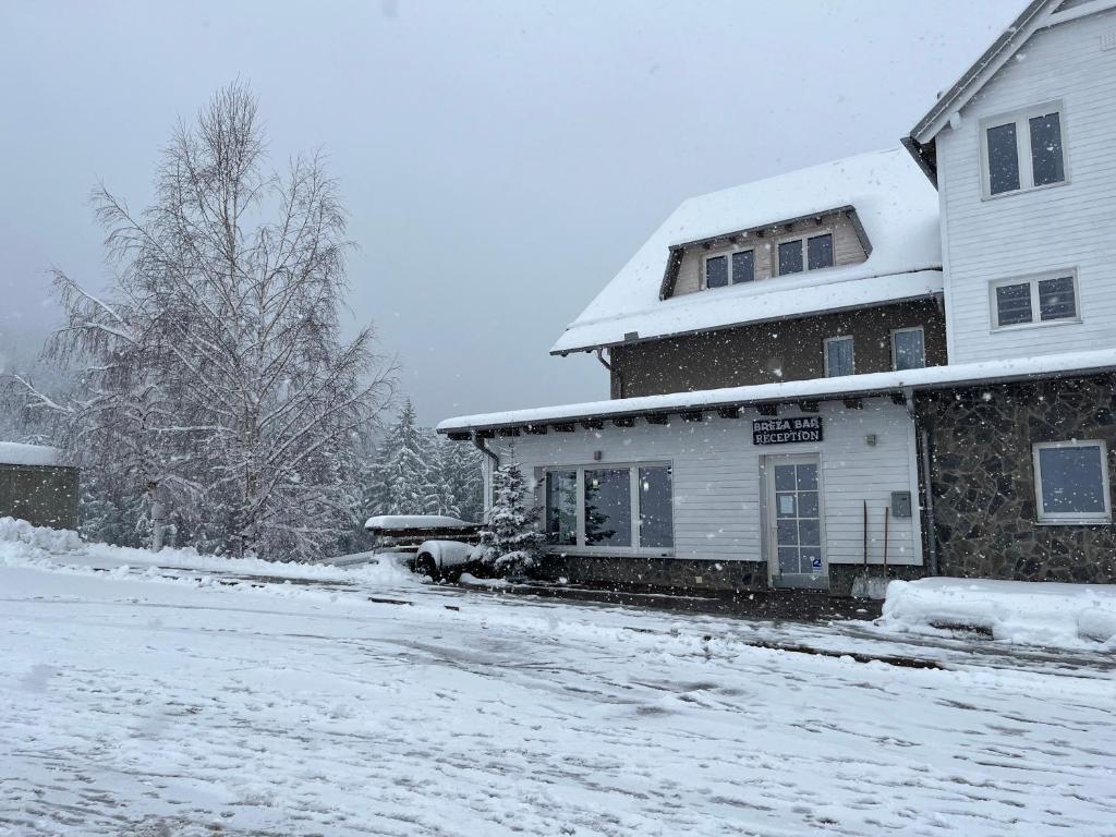 a house is covered in snow in a yard at Apartmajska hiša Breza in Ribnica na Pohorju