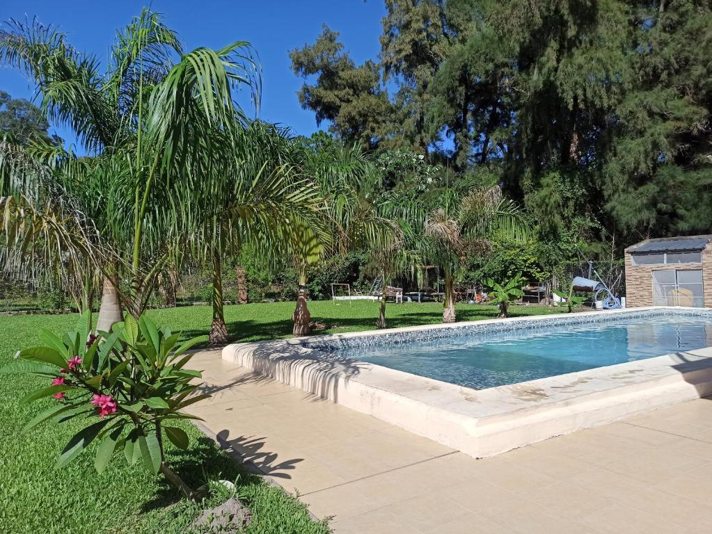 uma piscina num quintal com palmeiras em CV Apart em Resistência