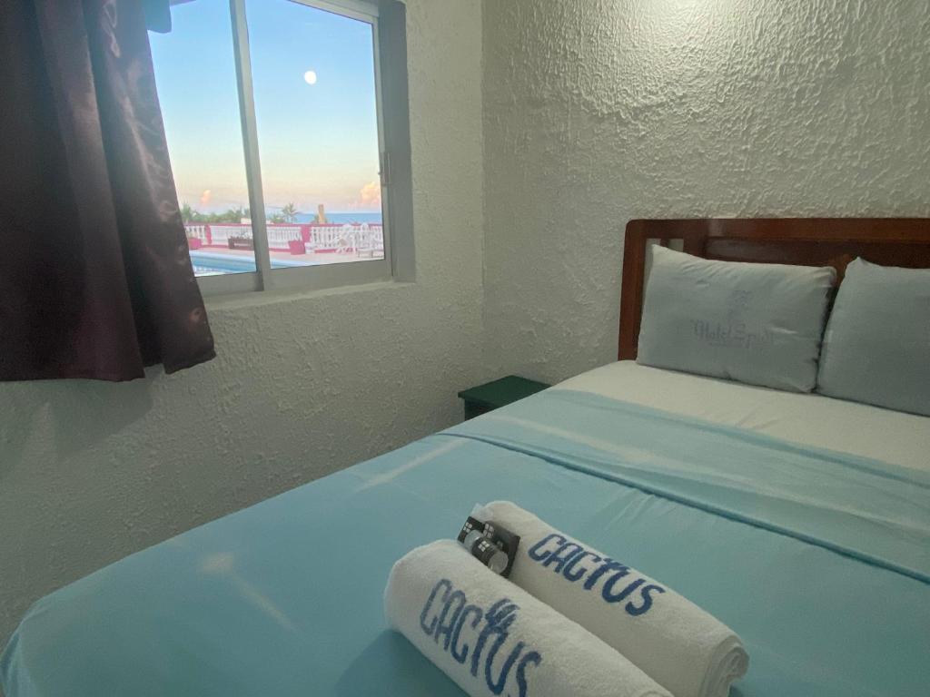 Postel nebo postele na pokoji v ubytování Hotel Casa Cactus HCC