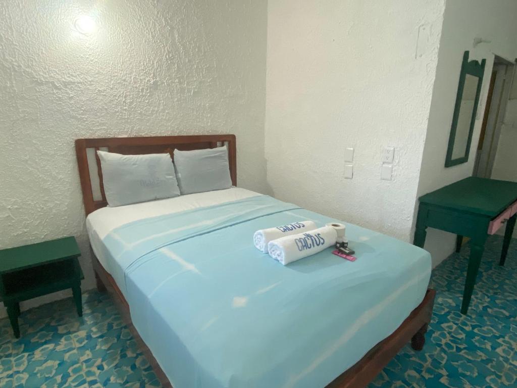 Postel nebo postele na pokoji v ubytování Hotel Casa Cactus HCC