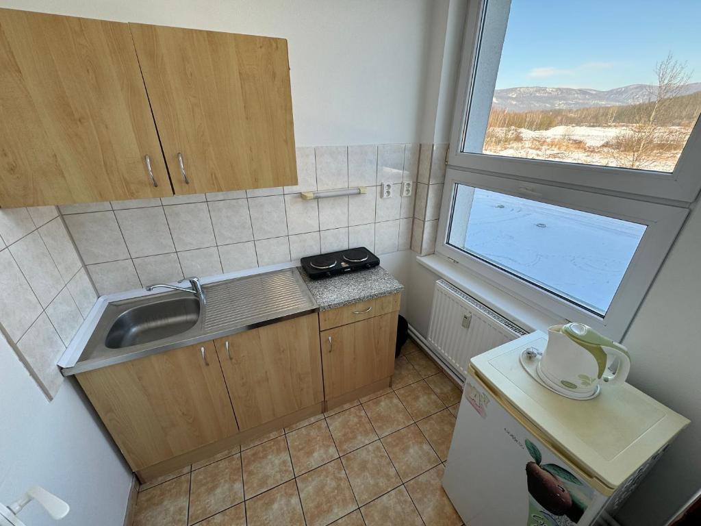 Kuchyň nebo kuchyňský kout v ubytování D8 APARTMÁNY