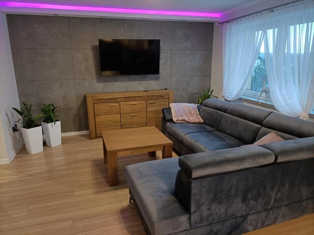 a living room with a couch and a tv at Noclegi w Dolinie Drwęcy in Kurzętnik