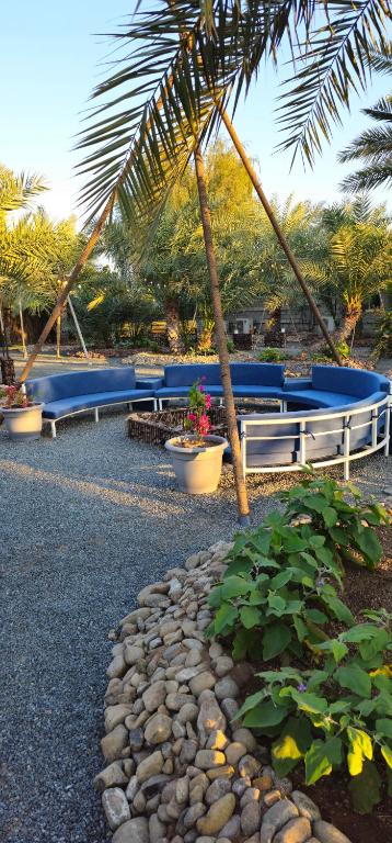 a row of blue benches with a palm tree and plants at Hatta Farm caravan in Hatta