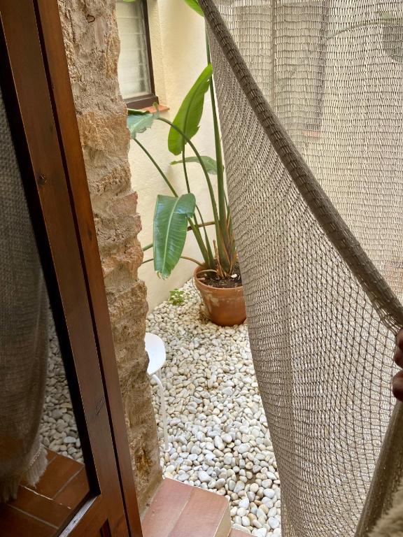 Kép Ecoturisme Mas Ribas szállásáról Palamósban a galériában