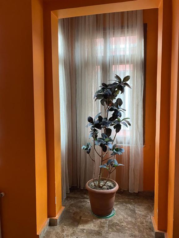 Fotografie z fotogalerie ubytování Taksim Pandora hotel v destinaci Istanbul