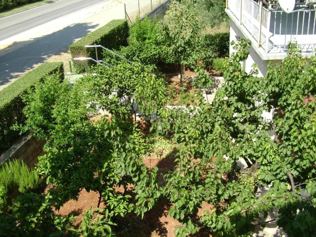 Zahrada ubytování Apartmani Tome