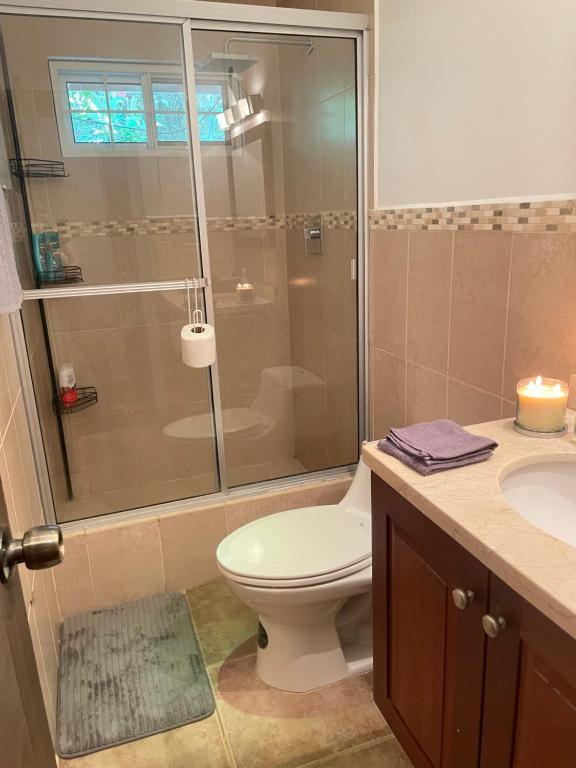 a bathroom with a toilet and a shower and a sink at Casa Gato in Big Creek