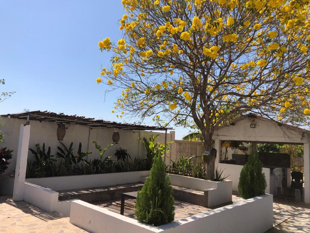 Zahrada ubytování Casa Campo Mi Valle Km9