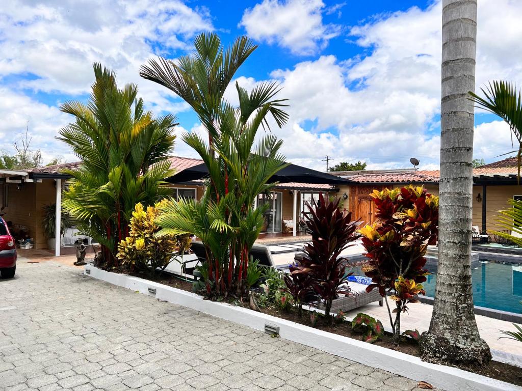 uma casa com palmeiras e uma piscina em CASA YUTE em La Tebaida