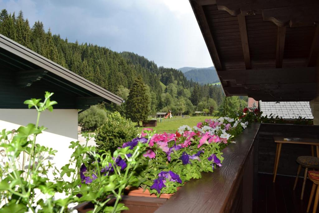 Pension Haus Rohrmoser - 2