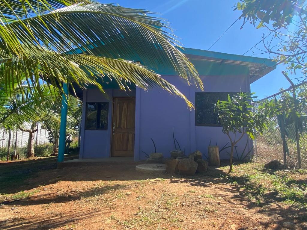 a white house with a palm tree in front of it at Casa Púrpura in La Cruz