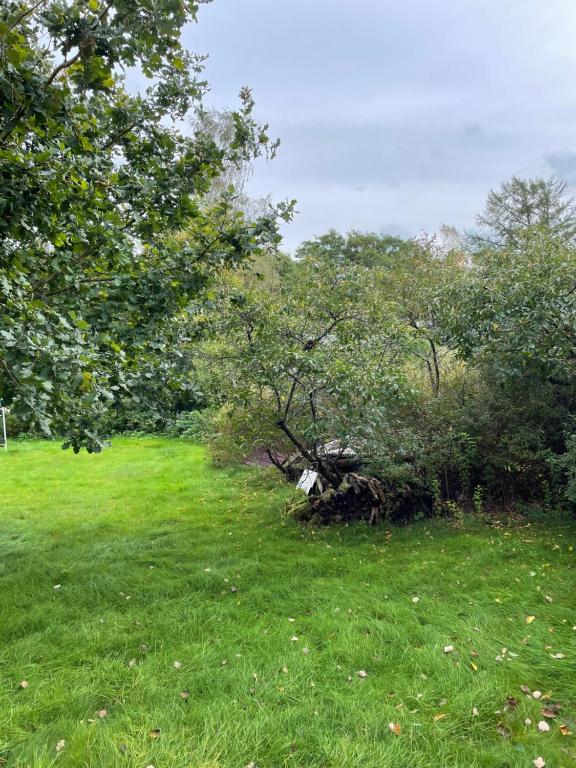 Zahrada ubytování Lantlig villa i Ljungbyhed