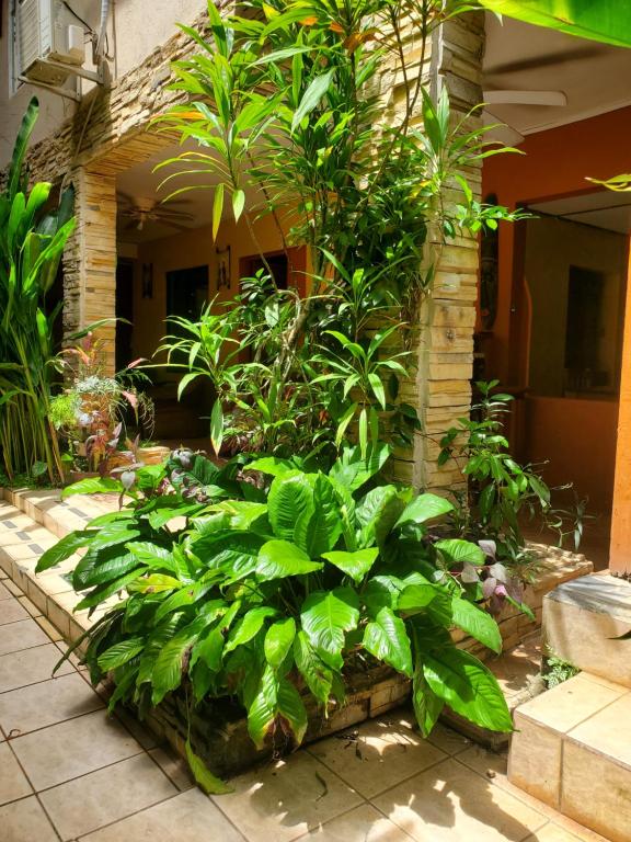 Zahrada ubytování Hotel Villa Prats