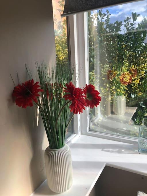Giardino di Charming Pheonix Parkside Flat