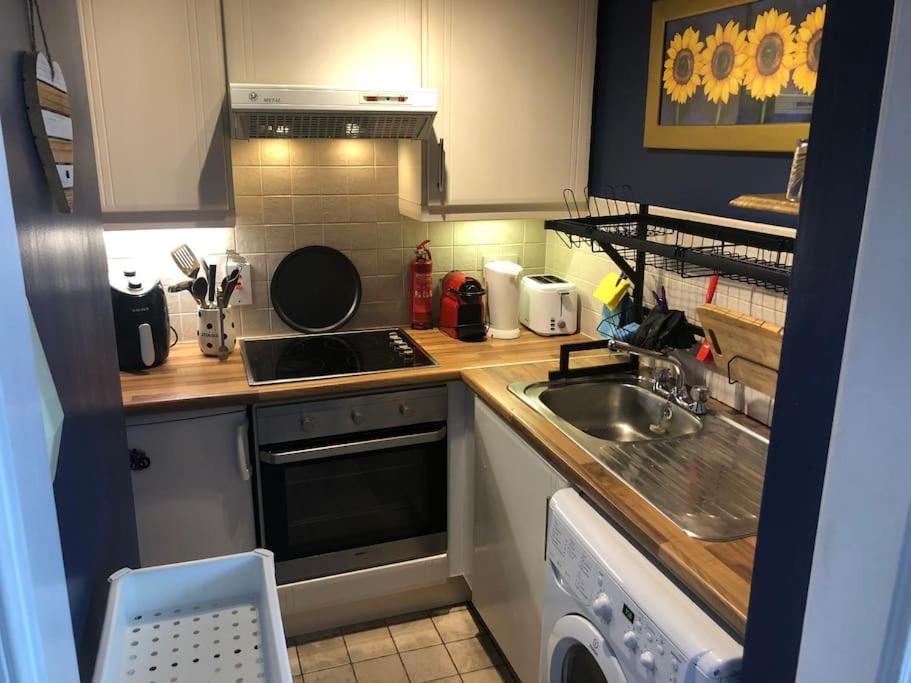 una piccola cucina con lavello e fornello di Charming Pheonix Parkside Flat a Dublino