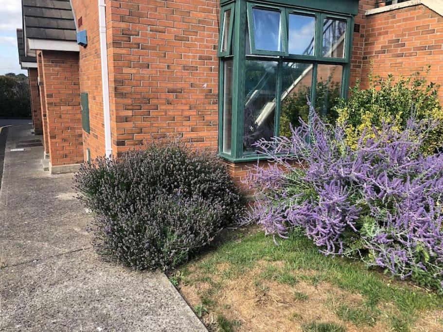 un edificio in mattoni con finestra e cespugli viola di Charming Pheonix Parkside Flat a Dublino