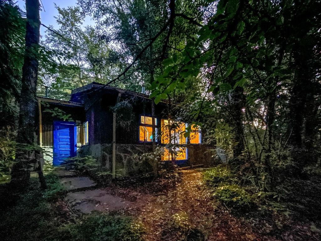 una casa en el bosque con una puerta azul en Casa con acceso directo al lago., en Caburgua
