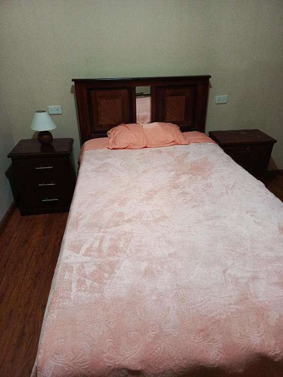 1 dormitorio con 1 cama grande con edredón rosa en Centric Room, en Riobamba