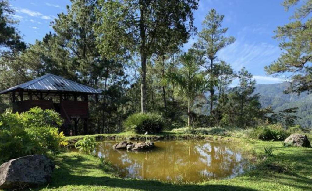 a pond in a garden with a gazebo and trees at Spirit Mountain Coffee in Manabao