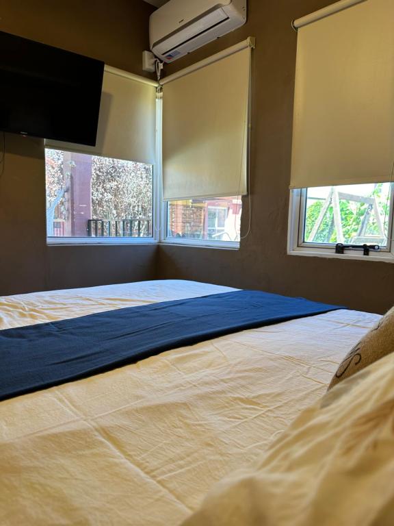 Deán Funes的住宿－La Palmera，一间卧室设有一张大床和两个窗户