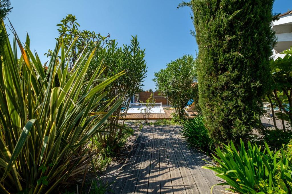 un camino a través de un jardín con plantas y un árbol en Magnifique Villa Avec Jardin Proche De La Plage, en Arès