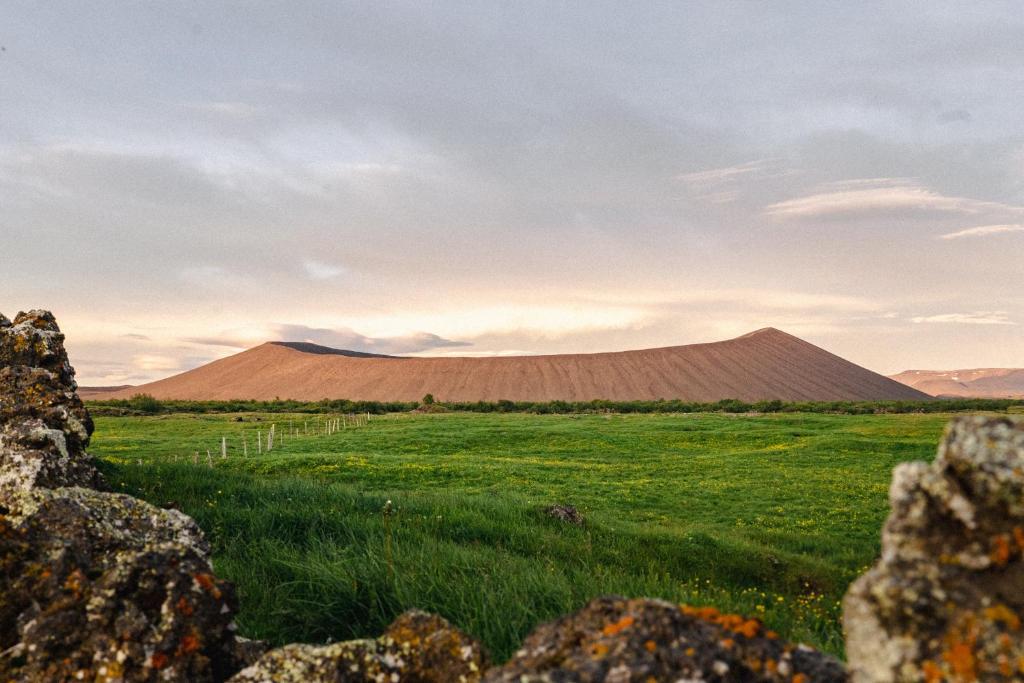 a field with a hill in the distance with a field of grass at Vogahraun 4 in Myvatn